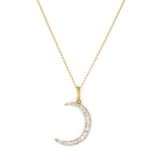 Jude Frances Petite Crescent Moon Necklace